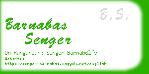 barnabas senger business card